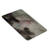 Cosmo 3 Aangepaste Magneet (Rechterzijde)