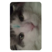 Cosmo 3 Aangepaste Magneet (Verticaal)