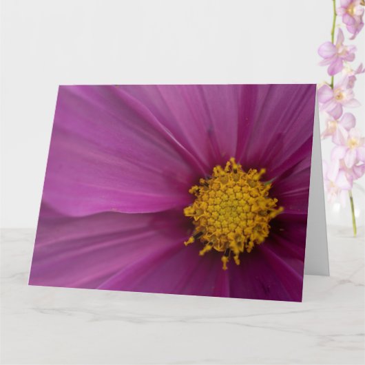 Cosmo-bloem Kaart (Orchidee)