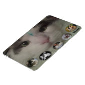 Cosmo Collage fotomagneet Magneet (Linkerzijde)