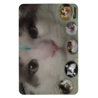 Cosmo Collage fotomagneet Magneet