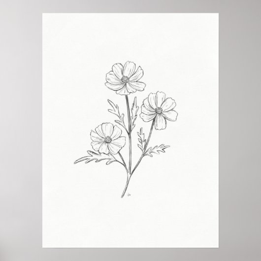 Cosmo Potcil Tekening Kunst Afdrukken Poster (Voorkant)