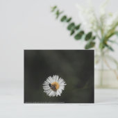 Cosmopolitan Bee Briefkaart (Staand voorkant)