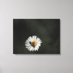 Cosmopolitan Bee Canvas Afdruk