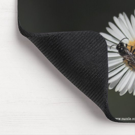 Cosmopolitan Bee Muismat (Hoek)