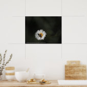 Cosmopolitan Bee Poster (Keuken)