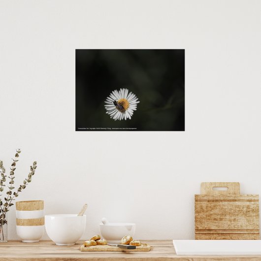 Cosmopolitan Bee Poster (Keuken)