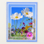 Cosmos (Devant)