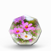 Cosmos フォトブロック fotoblokken (Voorkant)