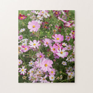 Cosmos Bloem (Bidens Formosa). Kirkwood Legpuzzel