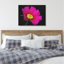 Cosmos Bloem Canvasprint