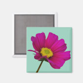 Cosmos Bloem Magneet (Voorkant / Achterkant)