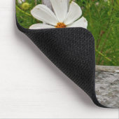 Cosmos Bloemen in een Oude Schutting Muismat (Hoek)