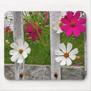 Cosmos Bloemen in een Oude Schutting Muismat
