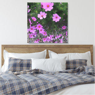 Cosmos bloemen met kiezelstenen op een canvas afdruk