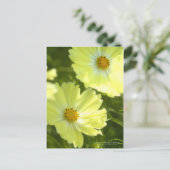 Cosmos "Campus Jaune" : Carte postale (Debout devant)