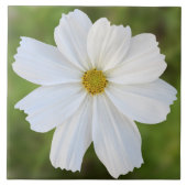 Cosmos Ceramic Tile Tegeltje (Voorkant)