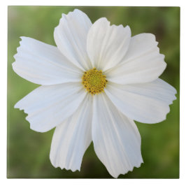 Cosmos Ceramic Tile Tegeltje