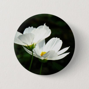 Cosmos Daisy Flowers Ronde Button 5,7 Cm