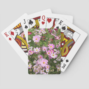 Cosmos Flower (Bidens Formosa). Kirkwood Pokerkaarten