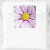 Cosmos Flower (bidens formosa) Vierkante Sticker (Tas)