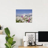 Cosmos Flower Poster (Thuiskantoor)