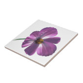 Cosmos Flower Tegeltje (Zijkant)