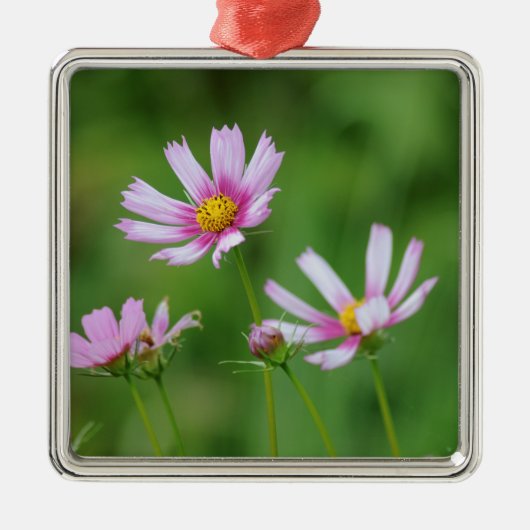 Cosmos Flowers Metalen Ornament (Voorkant)