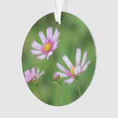 Cosmos Flowers Ornament (voorkant)
