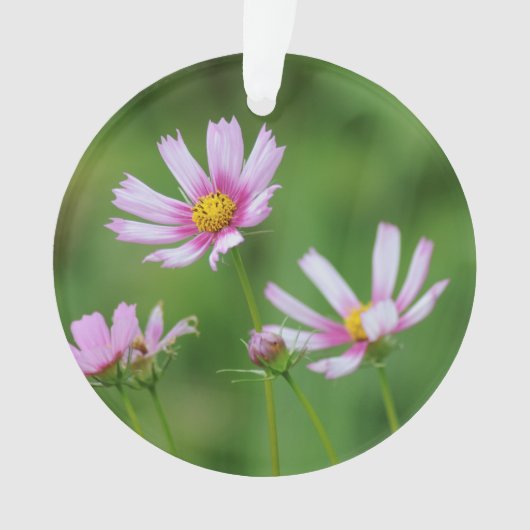 Cosmos Flowers Ornament (voorkant)