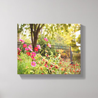 Cosmos Garden 8 x 10 Canvas wikkeling door DeGruy Afdruk