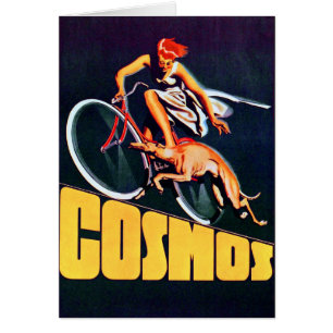 Cosmos Greyhound Bicycle
