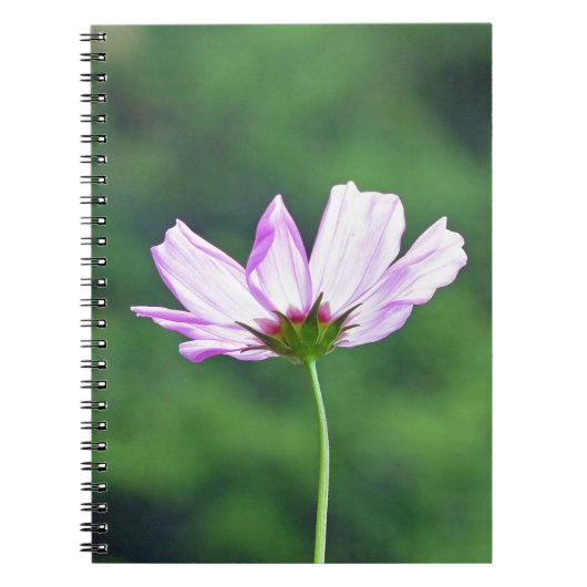 Cosmos Notitieboek (Voorkant)