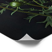 Cosmos rose Fleurs Art Imprimer Poster (Coin)