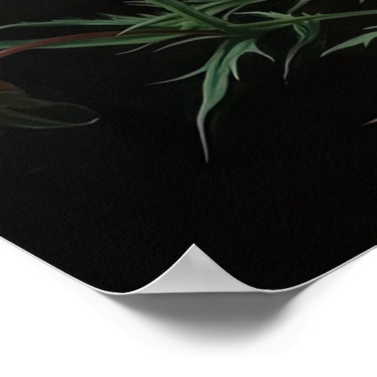 Cosmos rose Fleurs Art Imprimer Poster (Coin)