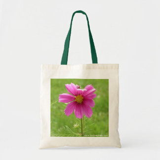 Cosmos tas