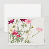 Cosmos van Tanigami Konan Briefkaart (Voorkant / Achterkant)