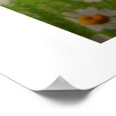 Cossackdansers en zangers poster (Hoek)