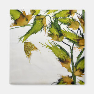 Cosses de long vert et aimant de papillon