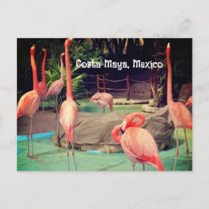 Costa Maya Mexico-Briefkaart Briefkaart
