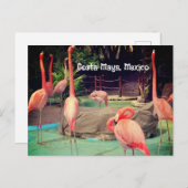 Costa Maya Mexico-Briefkaart Briefkaart (Voorkant / Achterkant)