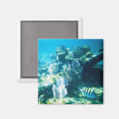 Costa Maya Reef Magnet Magneet (Voorkant / Achterkant)