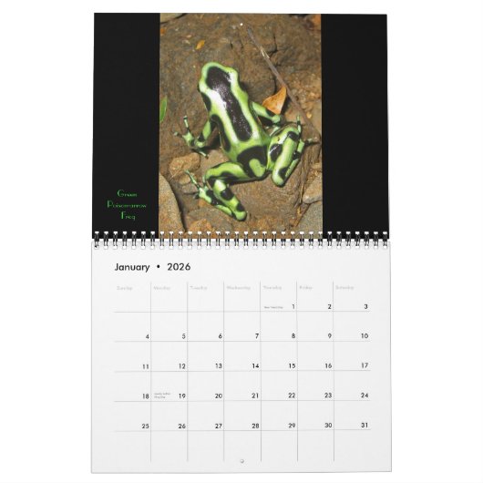 Costa Rica Agenda 2011 Kalender (Jan 2026)