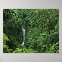 Costa Rica, Arenal vulkaan gebied, Hangende Brugge