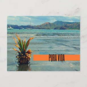 Costa Rica Beach Pura Vida Carte postale
