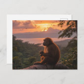 Costa Rica Briefkaart (Voorkant / Achterkant)