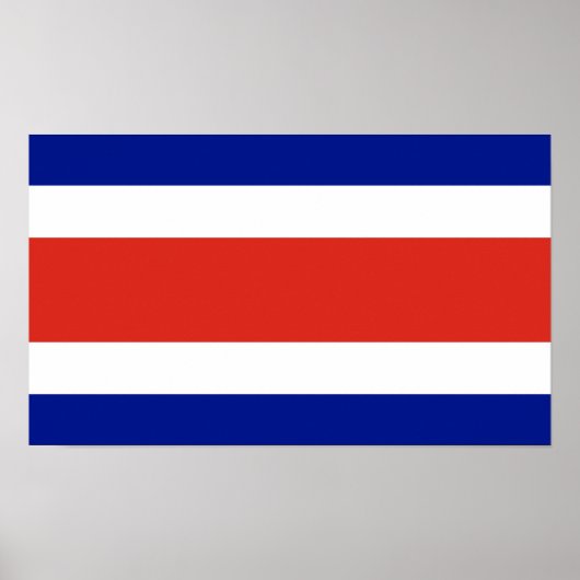 Costa Rica Burgervlag Poster (Voorkant)