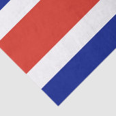 Costa Rica Burgervlag Tissuepapier (Detail)