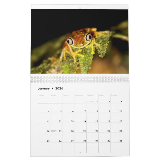 Costa Rica Calendar Kalender (Jan 2026)