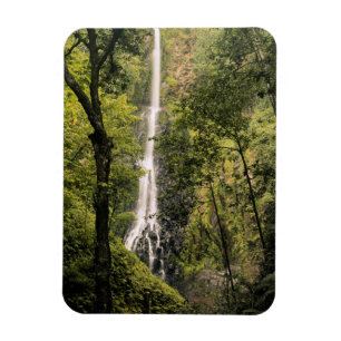 Costa Rica, Cocos-eiland, Waterval Wafer Bay Magneet